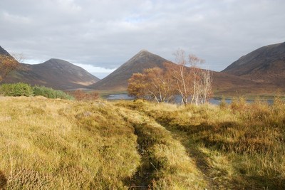 Walk photo