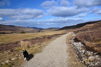 Walk photo