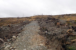 Airds Hill