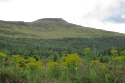 An Cruachan