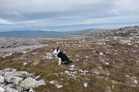 Beinn Bhreac South (Jura)