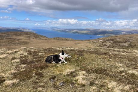 Beinn Bhuidhe (Mull)