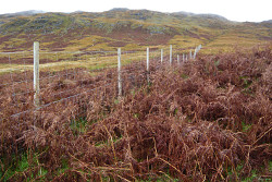 Beinn Chlaonleud