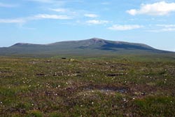 Beinn Dearg (Parph)
