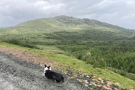 Beinn Ghlas (Loch Fyne)