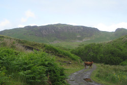 Beinn Mhor (Lorn)