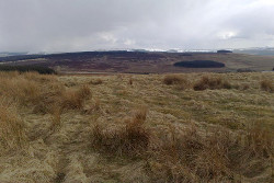 Belling Hill