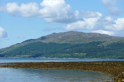 Ben Laga