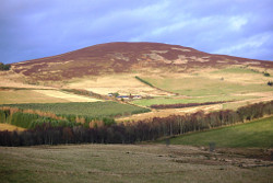 Benaquhallie
