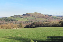 Black Hill (Borders)