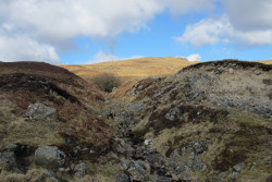 Bogrie Hill