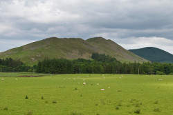 Cademuir Hill