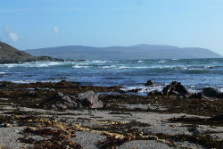 Cnoc Moy