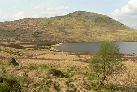 Craiglee (Galloway)