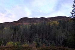 Creag Dhubh (Affric)