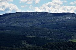 Cruach Lusach