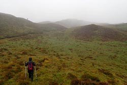 Cruach na Seilcheig (Jura)