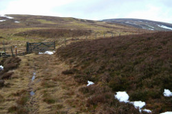 Deuchar Law