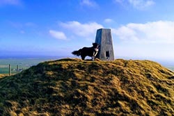 Fitty Hill