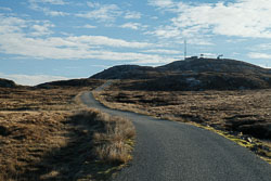 Forsnabhal (Lewis)