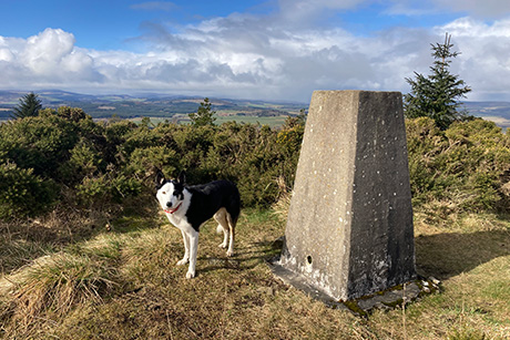 Fourman Hill