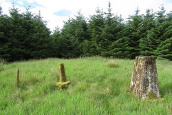 Grange Fell