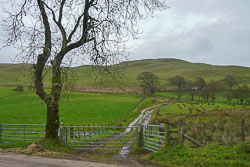Hightown Hill