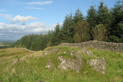 Killyleoch Hill 