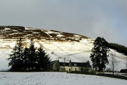 Ladylea Hill