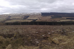 Larriston Fell