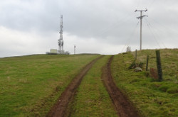 Linton Hill