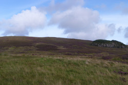 Maireabhal (North Uist)
