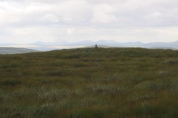 Meall a