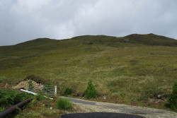 Meall a