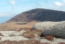Meall nan Damh