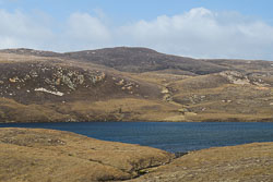 Mid Ward (Muckle Roe)