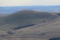 Mile Hill