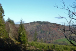 Newtyle Hill