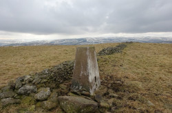 Sell Moor Hill