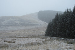 Turner Cleuch Law