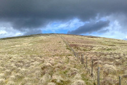 Wisp Hill