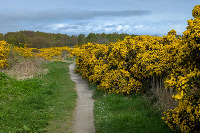 Walk photo