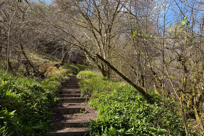 Walk photo