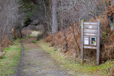 Walk photo