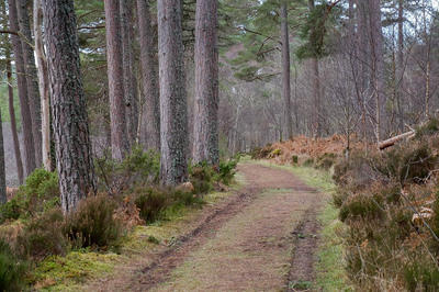 Walk photo