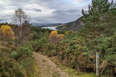 Walk photo