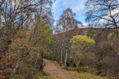 Walk photo