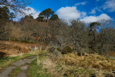 Walk photo