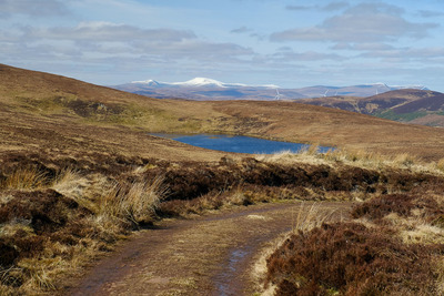 Walk photo