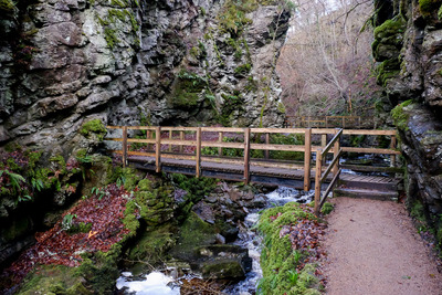 Walk photo